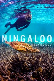 Ningaloo Nyinggulu